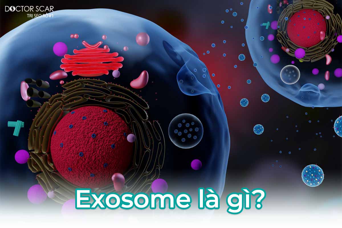 tiêm exosome là gì?